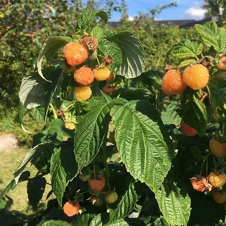 Fjordhus Nyaraló Orø